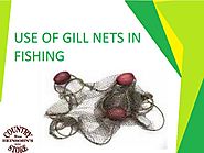 Use of Gill Nets in Fishing - Texastastes