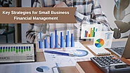 Key Strategies for Small Business Financial Management
