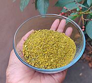 Homemade Moringa Powder | Healthy Murungai Podi from Drumstick Leaves – Tocco