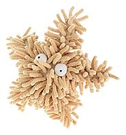 Multipet Sea Shammie 8-Inch Plush Starfish Dog Toy, Tan/Brown