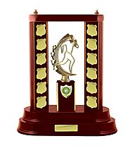 Elegant Perpetual Trophies | Trophy Hub Australia