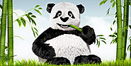 TinyPNG - Compress PNG images while preserving transparency