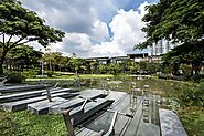 Chulalongkorn University and CU Centenary Park