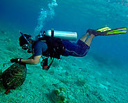 Diving and Snorkelling in Tioman