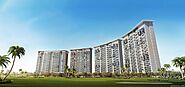 Prateek Canary in Sector 150 Noida