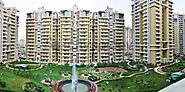 Is It Good to Invest in Commercial Property in Noida