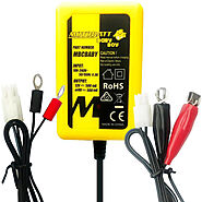 Buy Smart Battery Charger 12V & 6 Volt Battery Chargers Online