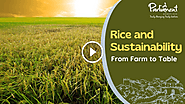 Best Rice and Sustainability: Embracing Organic Farming