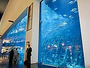  Dubai Aquarium & Underwater Zoo