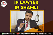 Ip Lawyer In Shamli | Lead India | Legal Firm