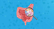 Gut Dysbiosis: What Happens When Good Bacteria Go Missing