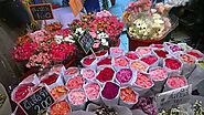 Bangkok Flower Market (Pak Klong Talad)