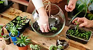 Terrarium Making class