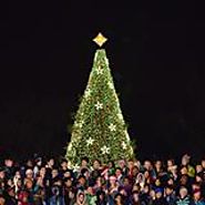 National Christmas Tree - Washington, District of Columbia - National Park | Facebook