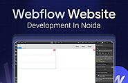 Unlocking the Webflow Magic: Your Ultimate Guide to Webflow Website Development in Noida