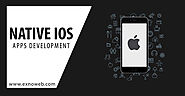 Advantages of iOS Development For Your Business Entity - Best Web Design Company