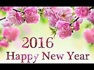 Happy New Year 2016 - Send New Year Gifts like Fresh Flowers Arrangement, Cakes & Gift to India