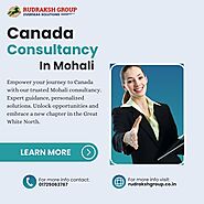 Canadian Visa Applications does Canada Consultancy in Mohali Specialize In