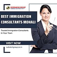 Best Immigration Consultants Mohali, Updated on Latest Laws for Success