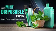 Best Mint Disposable Vapes in 2023 - All You Need to Know