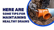 Here Are Some Tips for Maintaining Healthy Drains