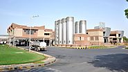How to operate milk processing plants with latest technology?