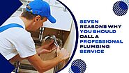 Seven Reasons Why You Should Call a Professional Plumbing Service