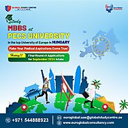 Study MBBS at Hungary's Premier University: PÉCS