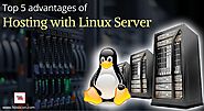 Top 5 advantages of hosting with Linux Server