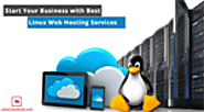 Start Your Business with Best Linux Web Hosting Services