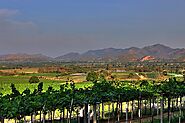 Tour Monsoon Valley Vineyard