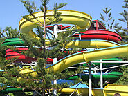 Spend the Day at a Water Park