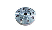 Ring Type Joint Flange Exporters in India