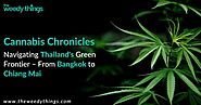 Cannabis Chronicles: Navigating Thailand's Green Frontier – From Bangkok to Chiang Mai