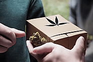 Cannabis at Your Doorstep: Explore Weed Delivery Near Me