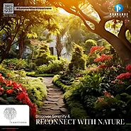 Discover Serenity & Reconnect with Nature at Vaarivana