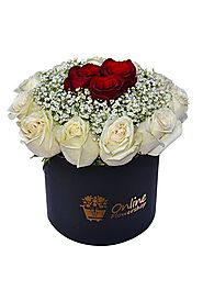 Website at https://www.onlineflowershop.ae/occasion/christmas-gifts