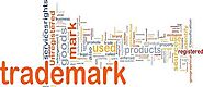 Trademarks411 Registration Protects Your Brand & Logo: Why Trademarking is Your Secret Weapon for Expansion and Licen...