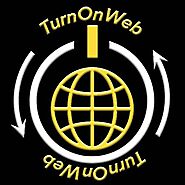 TurnOnWeb | Pune