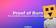 Proof of Burn (PoB) : An Innovative Consensus Algorithm for Blockchain