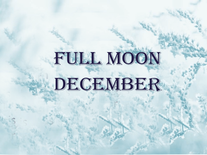 Full Moon Schedule 2025 A Listly List