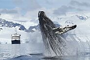 Booked Best Luxury Antarctica Cruise