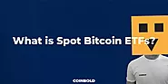 What Is Spot Bitcoin ETFs?