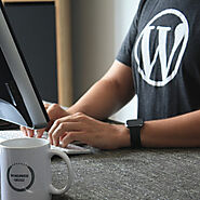 From Custom Themes to Plugin Development: What Can a Skilled WordPress Expert Do for You?