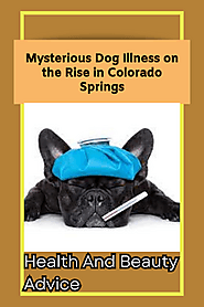 Mysterious Dog Illness on the Rise in Colorado Springs