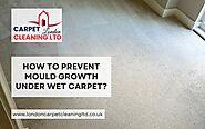How To Prevent Mould Growth Under Wet Carpet | Expert Tips