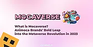 What is Mocaverse?