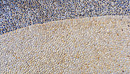 Exposed Aggregate Concrete Manufacturer & Supplier| NaranPCC