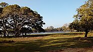 Wilpattu National Park