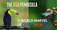 The Osa Peninsula: A World Marvel in Costa Rica - Sukia Travel